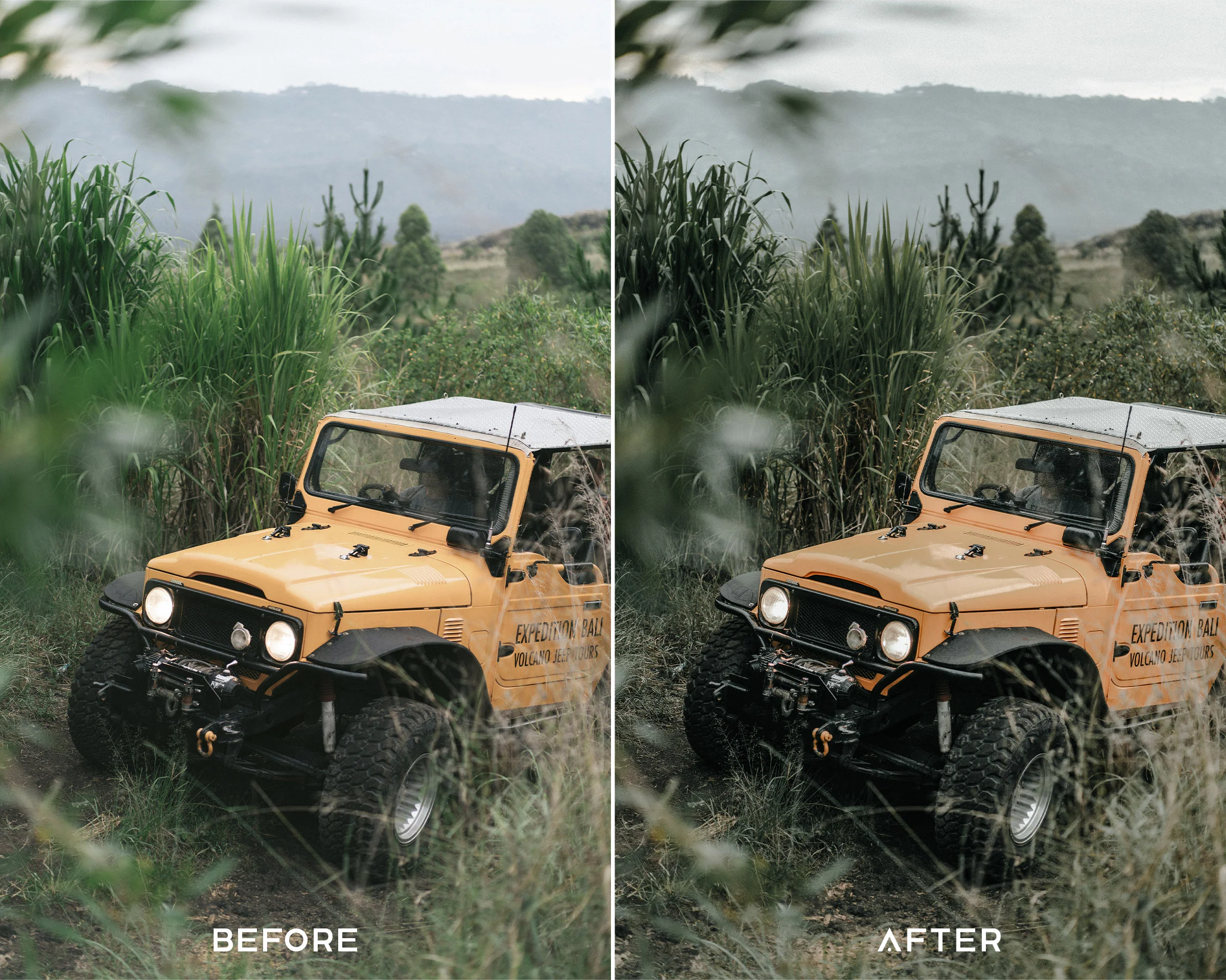Tropical Preset Collection - Image 3