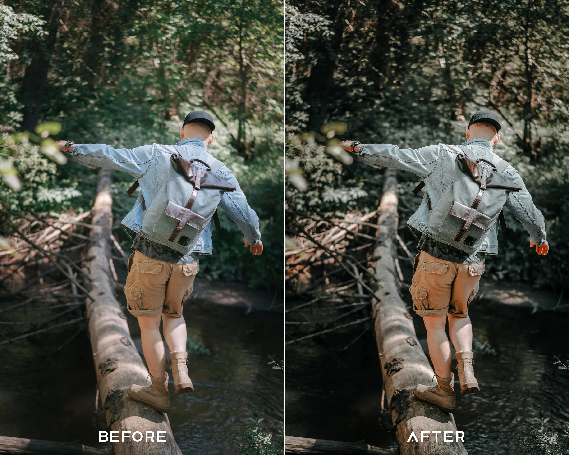 Tropical Preset Collection - Image 5