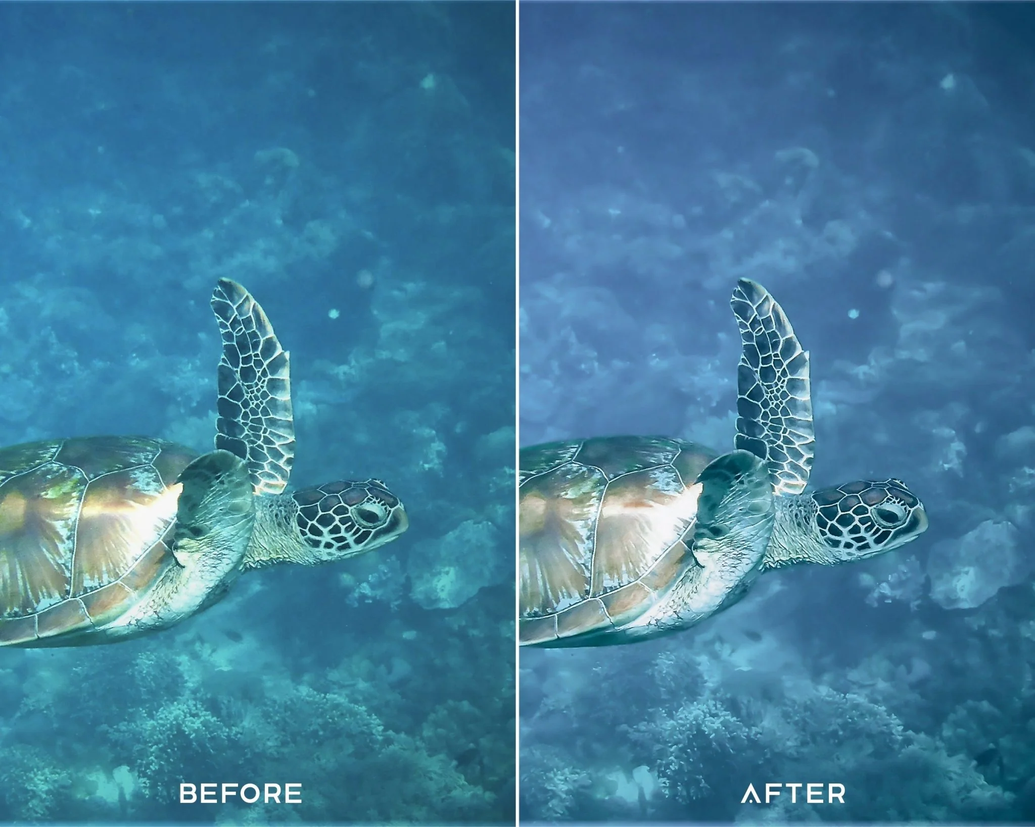 Underwater Preset Collection - Image 5