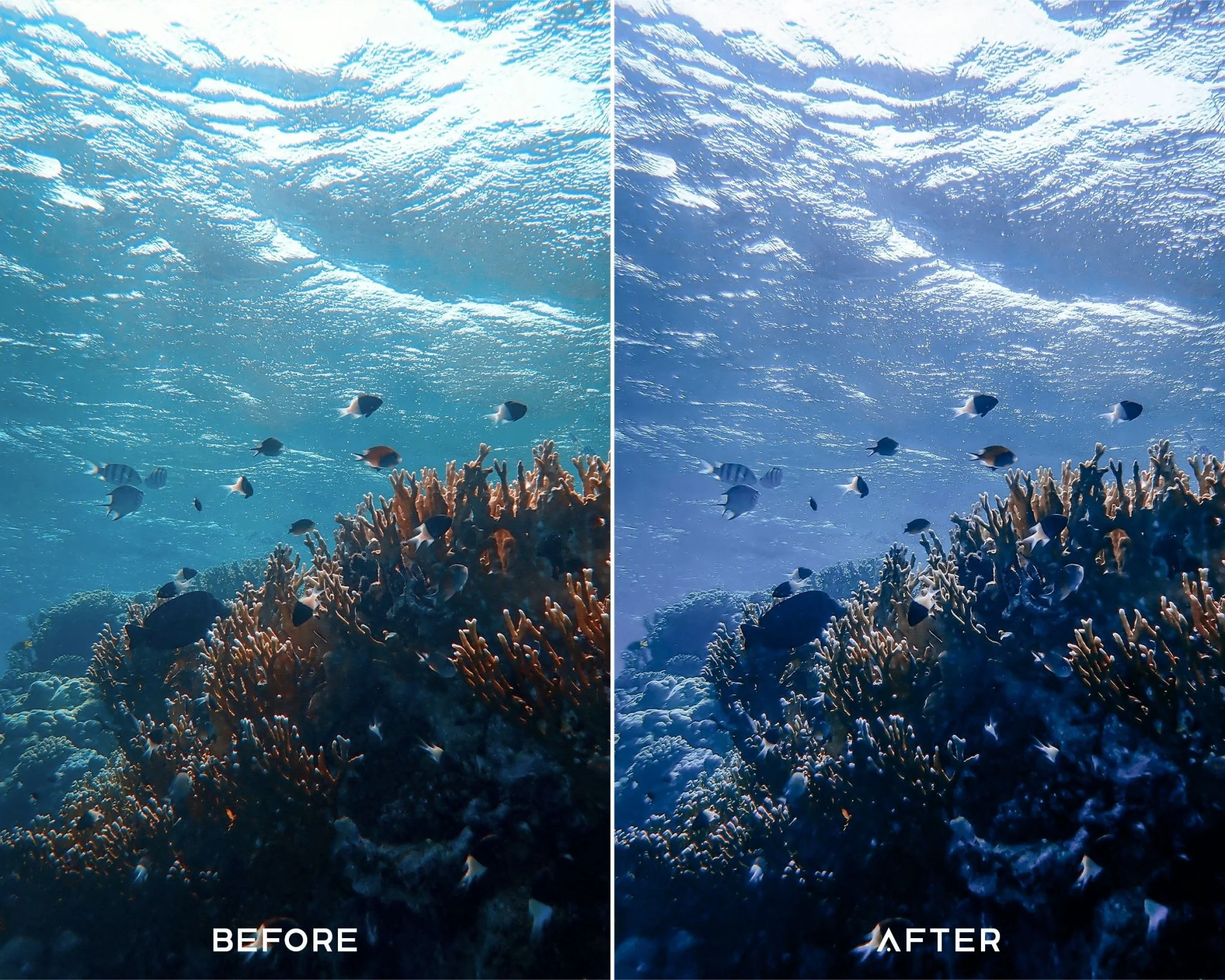 Underwater Preset Collection - Image 6