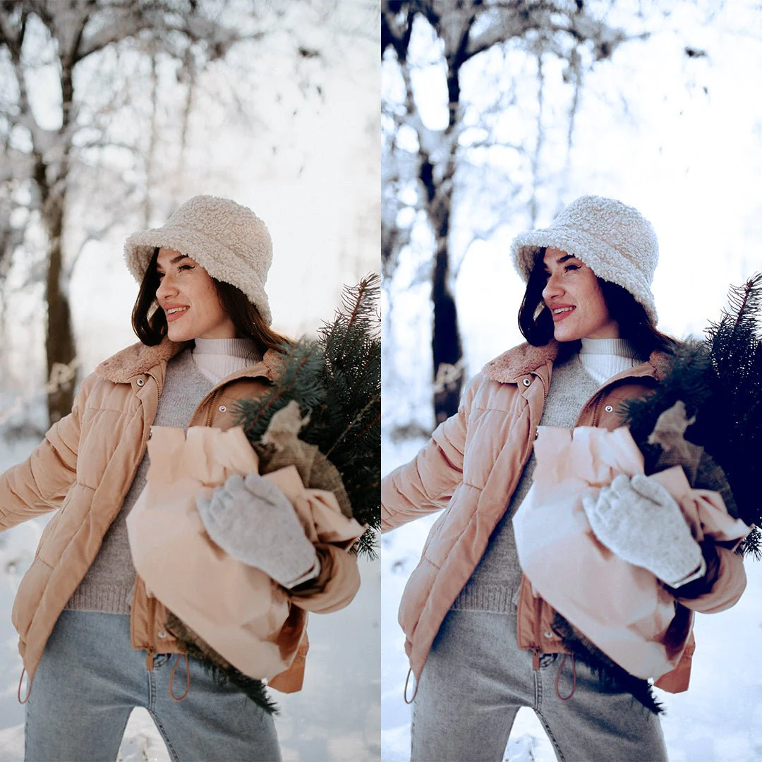 White Christmas Preset Collection - Image 4