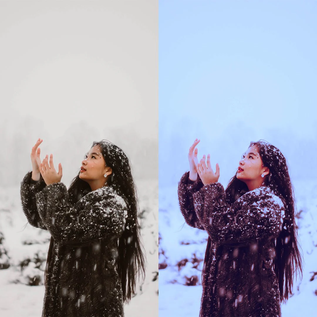 White Christmas Preset Collection - Image 5
