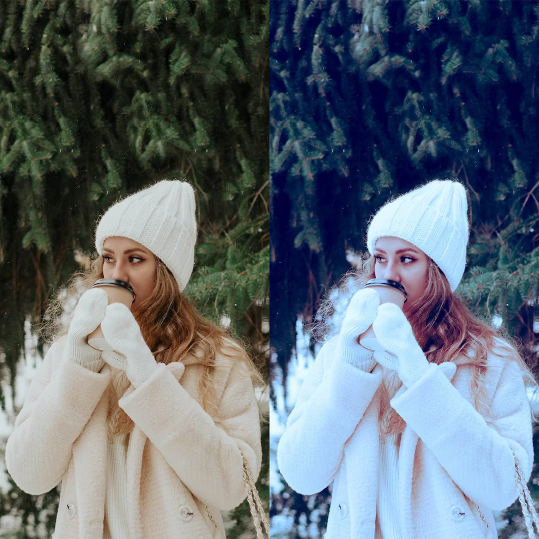 White Christmas Preset Collection - Image 7