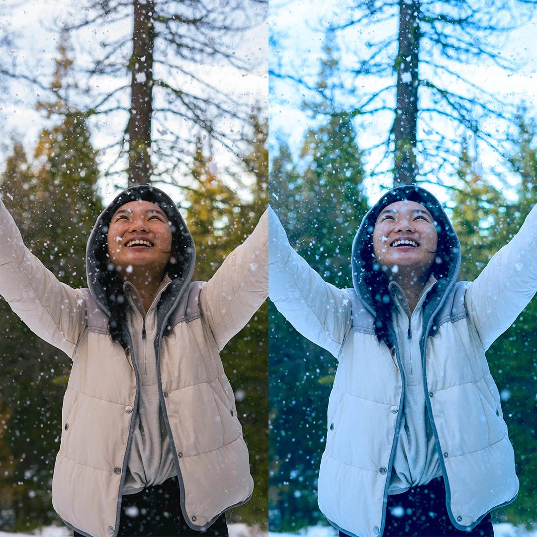 White Christmas Preset Collection - Image 8